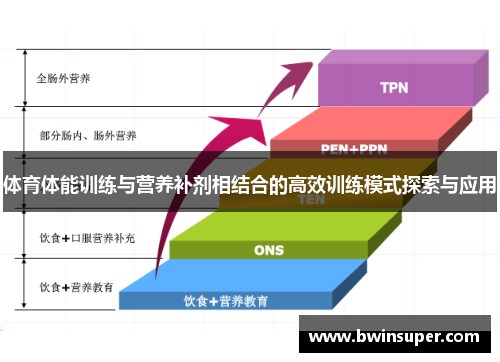 体育体能训练与营养补剂相结合的高效训练模式探索与应用
